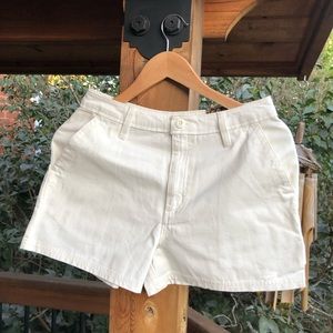 NWT Vans Ground Work Shorts